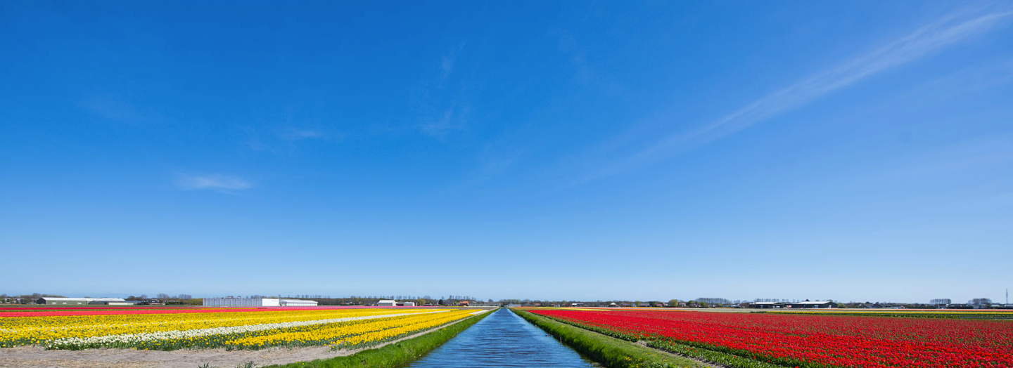 Van der Zon Export